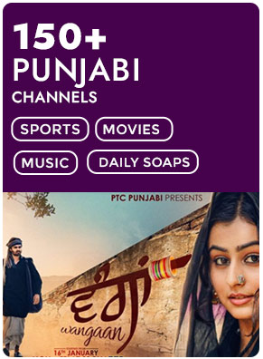 Punjabi channels