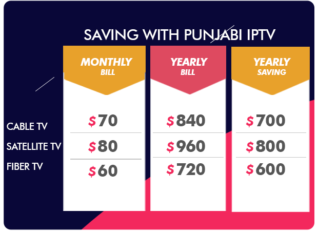 Saving with Punjabi IPTV