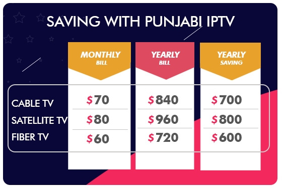 Saving with Punjabi IPTV